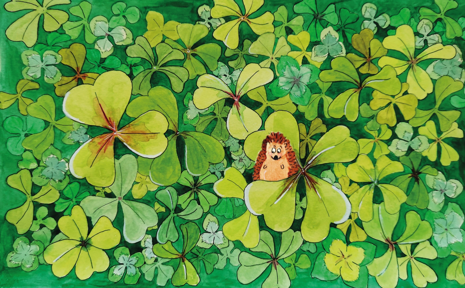 Boutique P’tites Boussoles illustrations